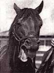 Seabiscuit